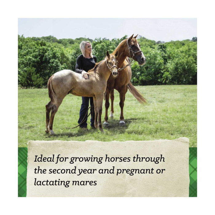 Cargill Animal Nutrition Safechoice Mare and Foal