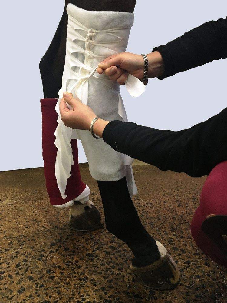 Spitfire Products Inc Spider Wrap Bandage
