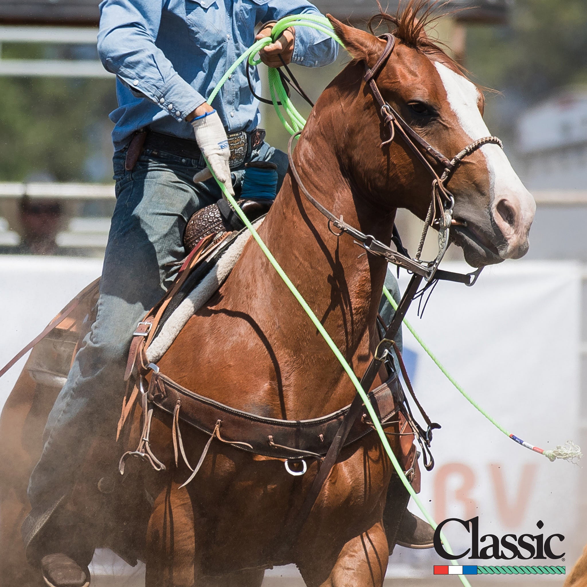 Classic Spydr 35ft Heel Team Rope — NRS