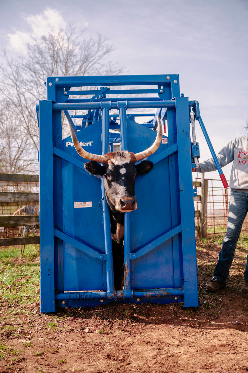 Priefert SC25 Squeeze CHute