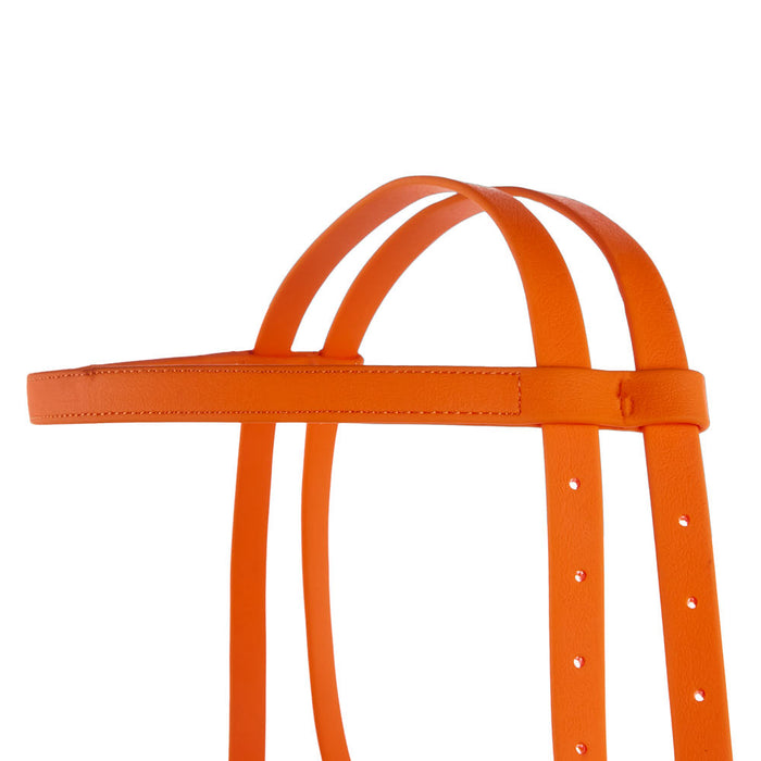 Tomahawk Biothane Orange Browband Headstall