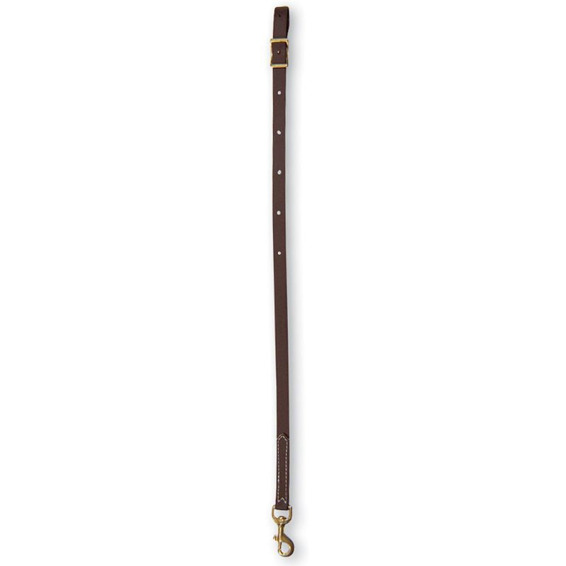 Martin Saddlery Biothane 1in Tiedown Strap