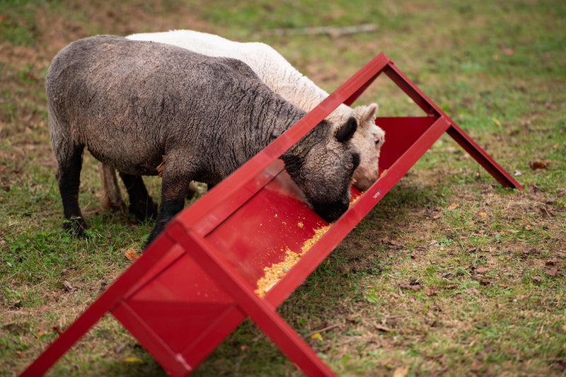 Tarter GOAT TROUGH FEEDER 8`
