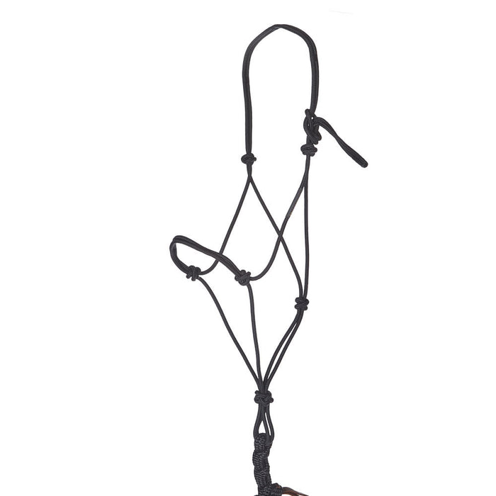 Haychix Timeless Black Halter with Black Lead Rope