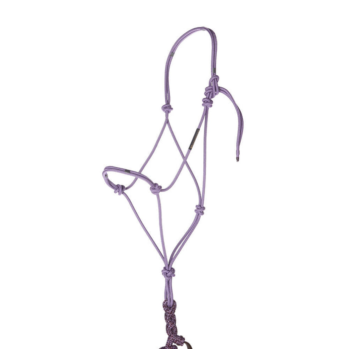 Haychix Timeless Light Purple Halter with Be Mine Lead Rope