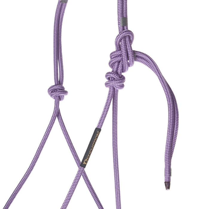 Haychix Timeless Light Purple Halter with Be Mine Lead Rope