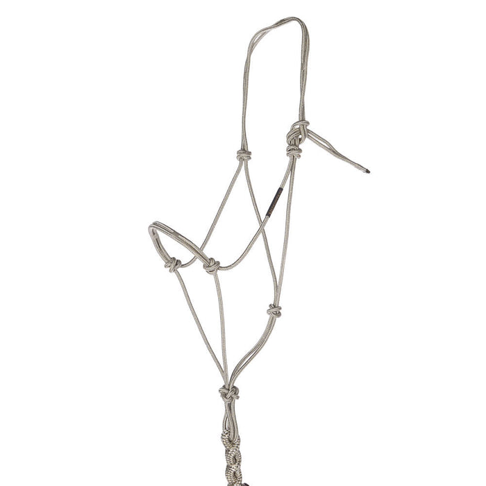 Haychix Timeless Platinum Halter with Platinum Lead Rope