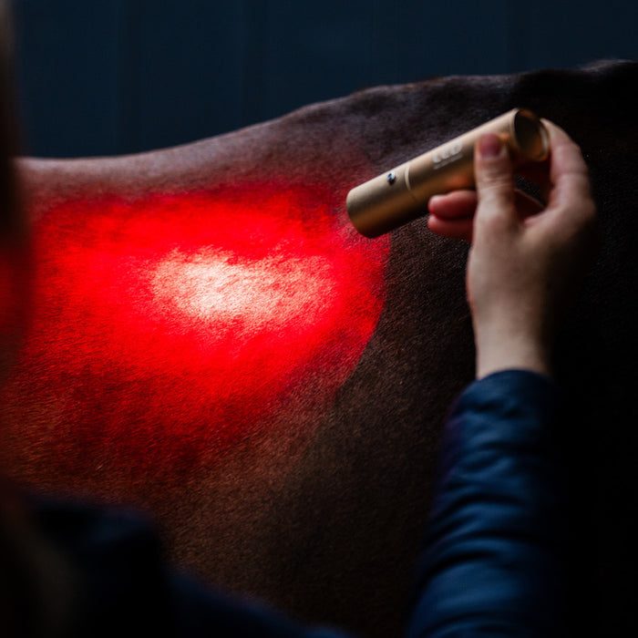 Horseware Ireland LED Red Light Therapy Wand