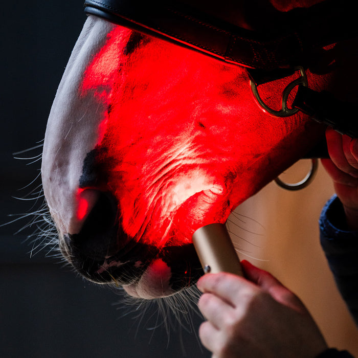 Horseware Ireland LED Red Light Therapy Wand