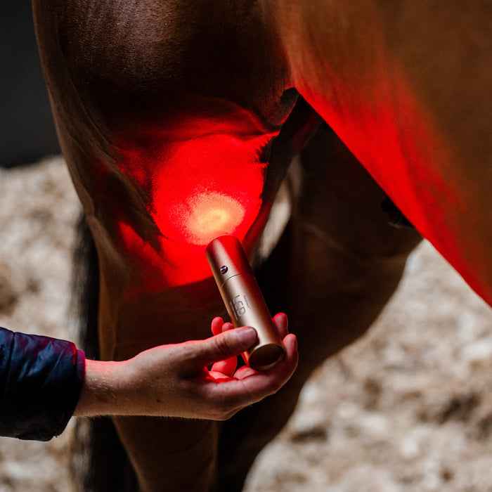 Horseware Ireland LED Red Light Therapy Wand