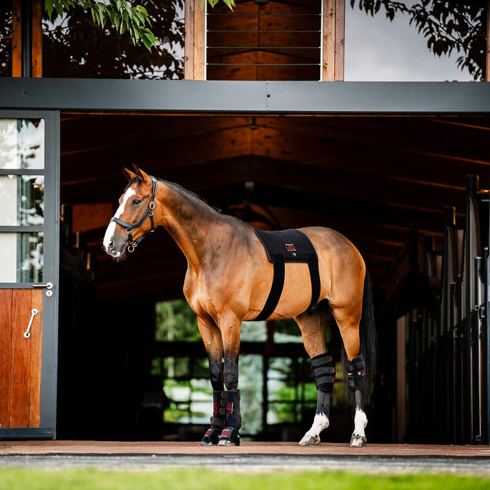 Horseware Ireland LED Red Light Therapy Pad