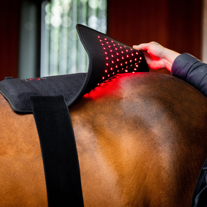 Horseware Ireland LED Red Light Therapy Pad