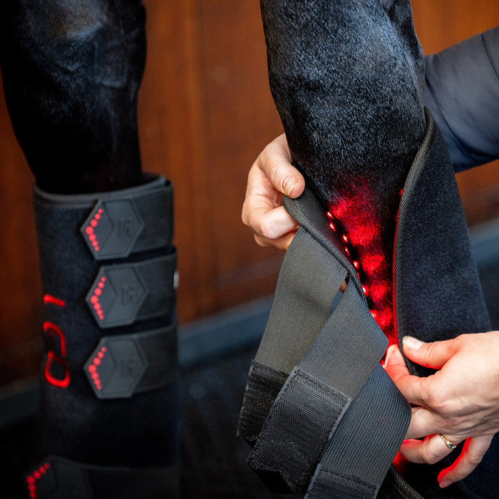 Horseware Ireland LED Red Light Therapy Left Leg Wrap