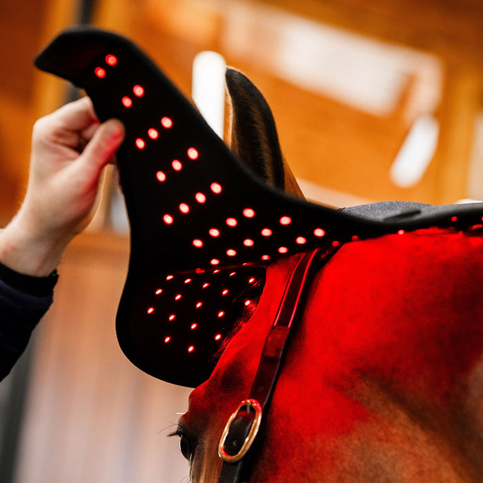 Horseware Ireland LED Red Light Therapy Poll Cap