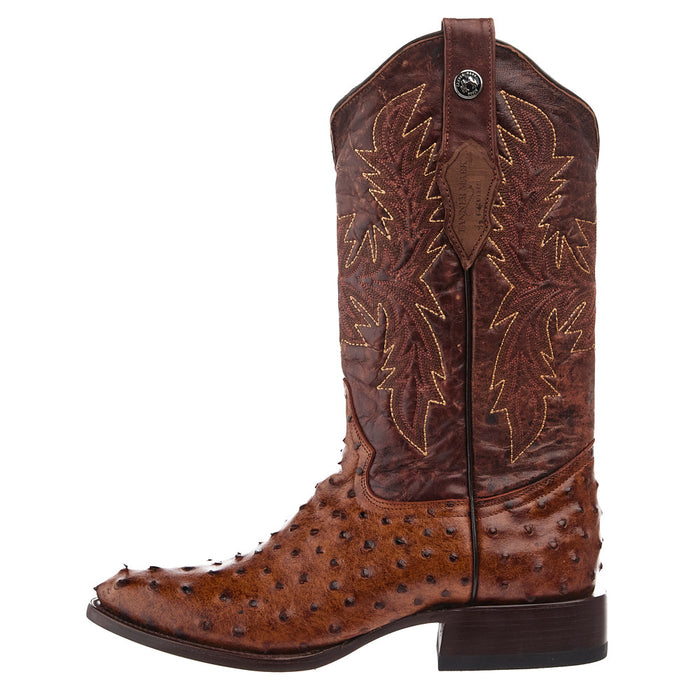 Tanner Mark Boots Rustic Cognac Ostrich Print Vamp 13in Brown Top