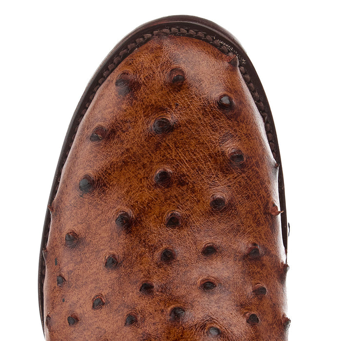 Tanner Mark Boots Rustic Cognac Ostrich Print Vamp 13in Brown Top