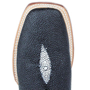 Tanner Mark Boots Women`s Black Stingray Print 13 In Toscana Blue Top Cowgirl Boot