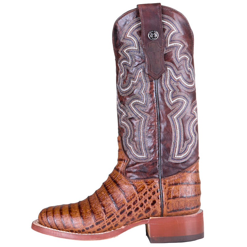 Tanner Mark Boots Women's Cognac Caiman Belly Print Vamp 12in Cognac Top