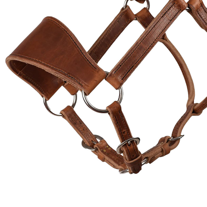 Perris Leather Ranch Halter