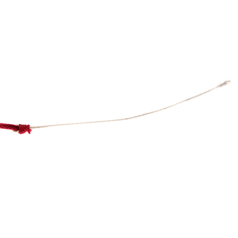 U.S. Whip Lunge with Plastic Handle