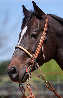 Headstalls