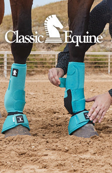 Classic Equine