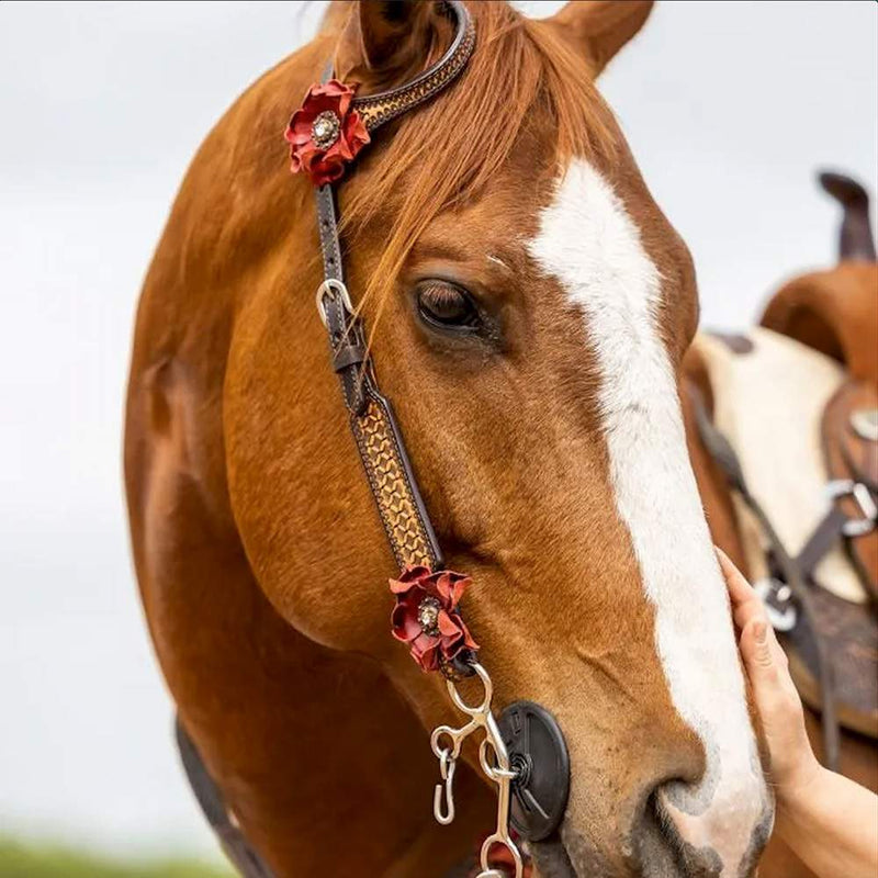 Circle Y Saddlery Sarah Rose Vintage Single Ear Headstall