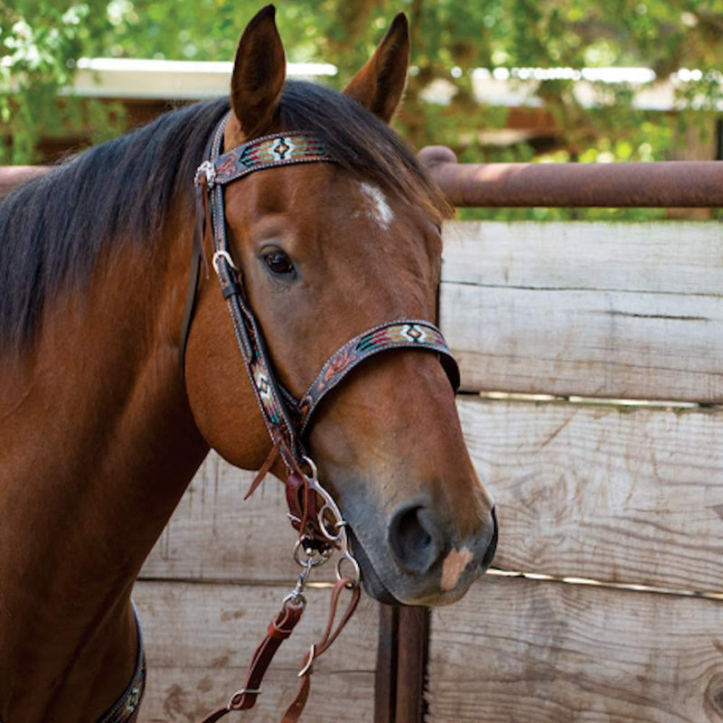 Circle Y Saddlery South West Beaded Browband Headstall