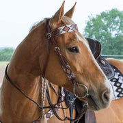 Circle Y Saddlery Infinity Beaded Browband Headstall