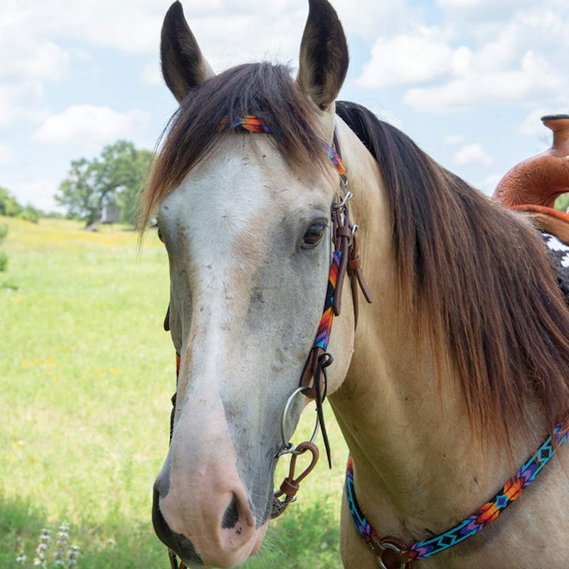 Circle Y Saddlery Infinity Wrap Browband Headstall