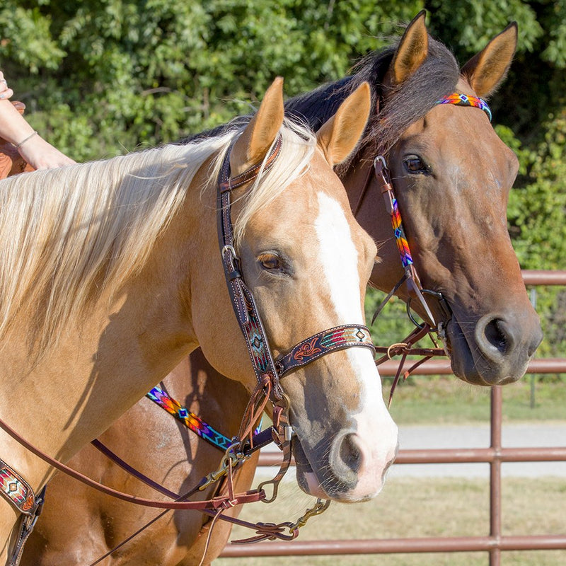Circle Y Saddlery South West Beaded Browband Headstall