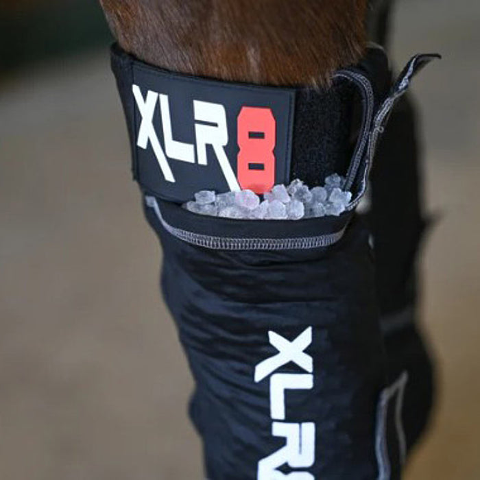 Xlr8 Equine Cryo Ice Boots Hind