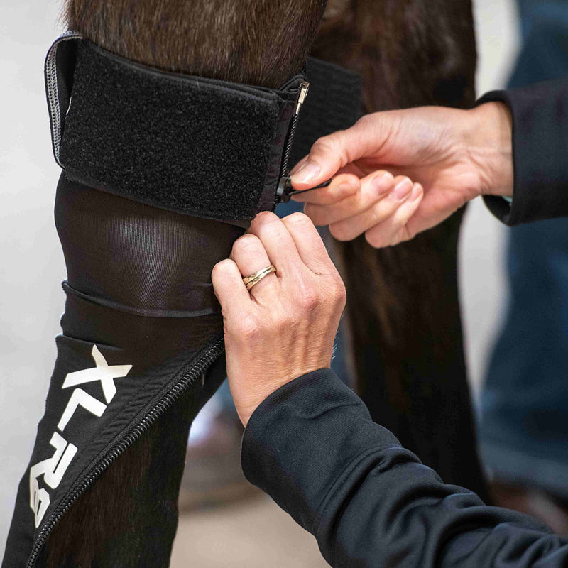 Xlr8 Equine G-Force Compression Front Boots