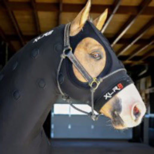 Xlr8 Equine Velocity Hood