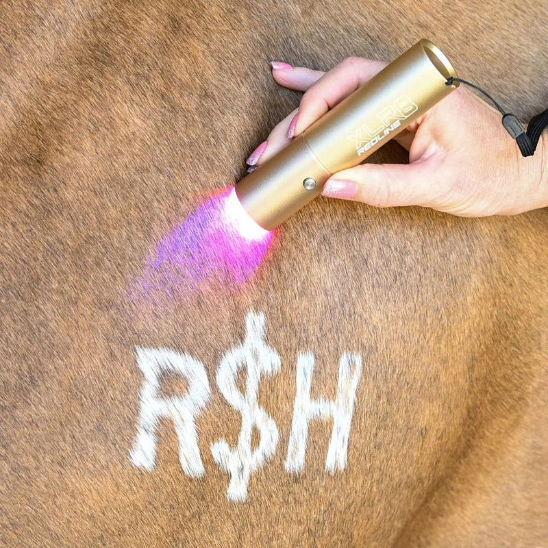 Xlr8 Equine Ignite Handheld Therapy Light