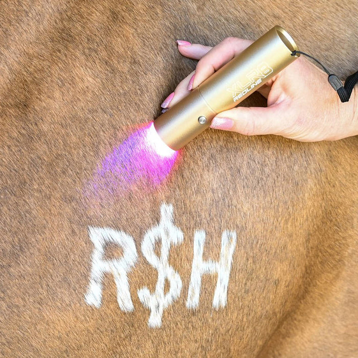Xlr8 Equine Ignite Handheld Therapy Light