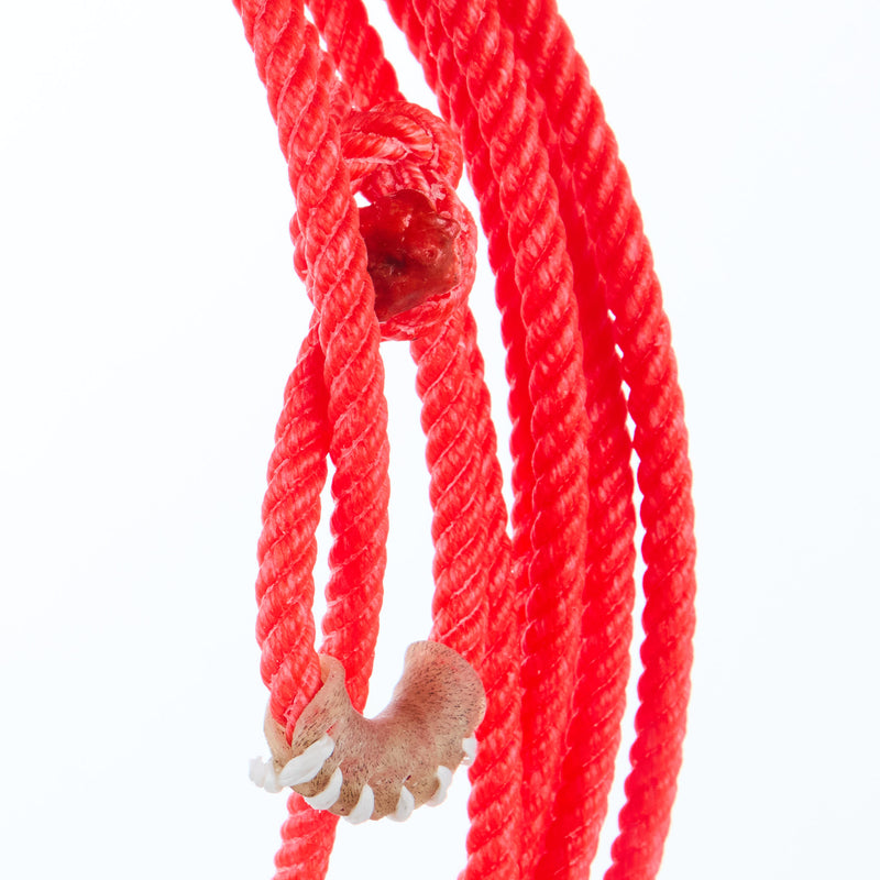 Classic Xtreme 25ft Kid Rope