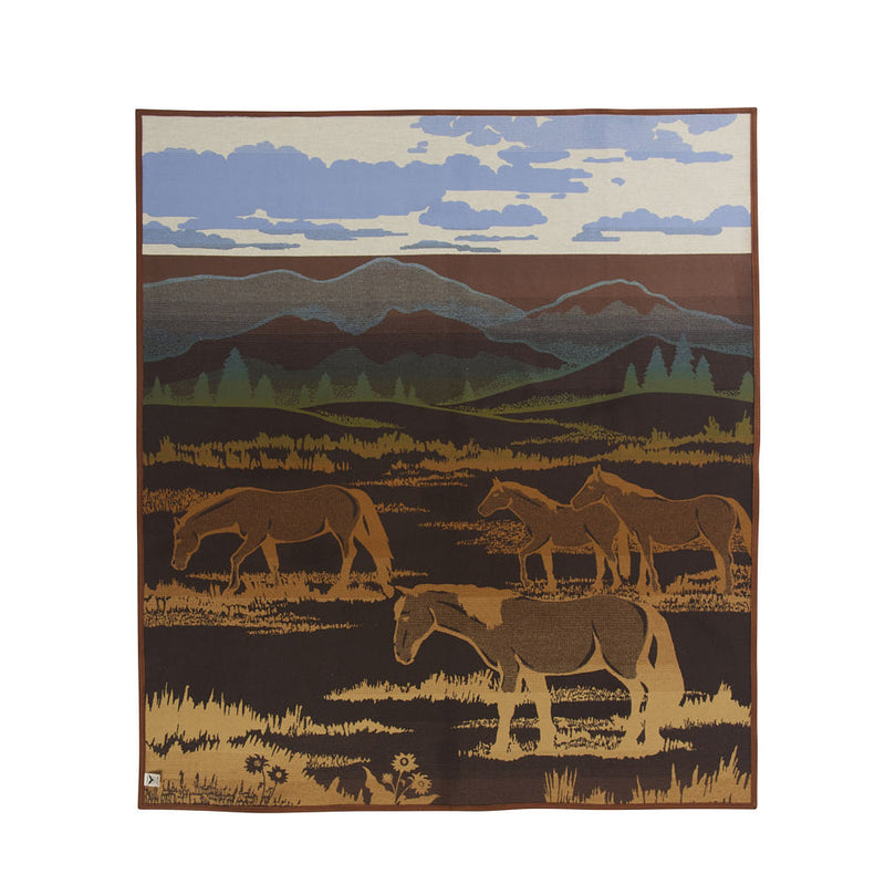 Pendleton Woolen Mills Inc. Shadow Mountain Blanket