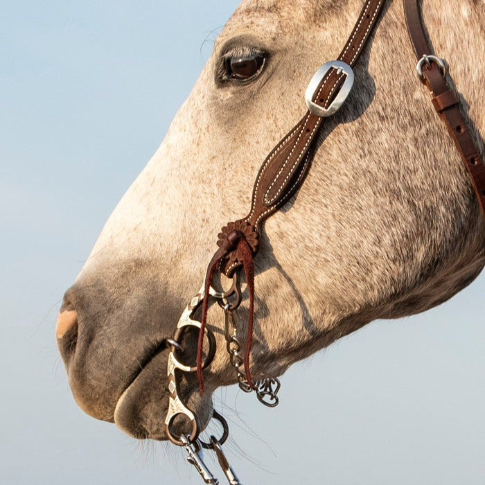 Classic Equine Sherry Cervi Twisted Wire Snaffle Short Shank Bit