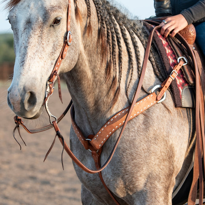 Martin Saddlery 2