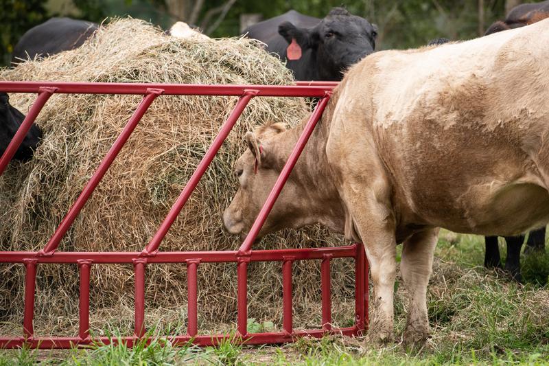 Tarter Steelcor Cattle 8ft Feeder