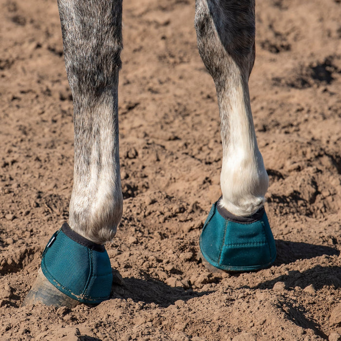 Classic Equine Dragonfly Green DyNo Turn Bell Boots