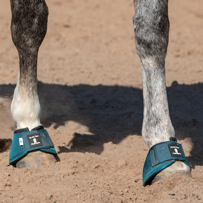 Classic Equine Dragonfly Green DyNo Turn Bell Boots
