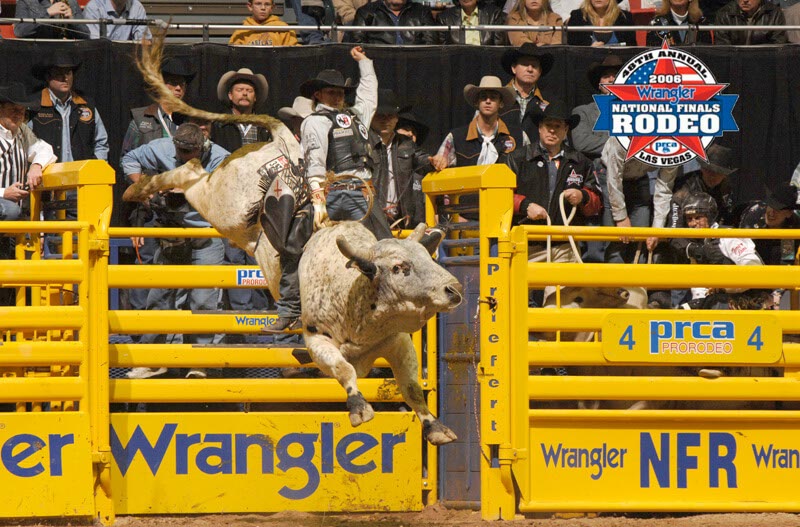 Priefert Bucking Chute Left Side