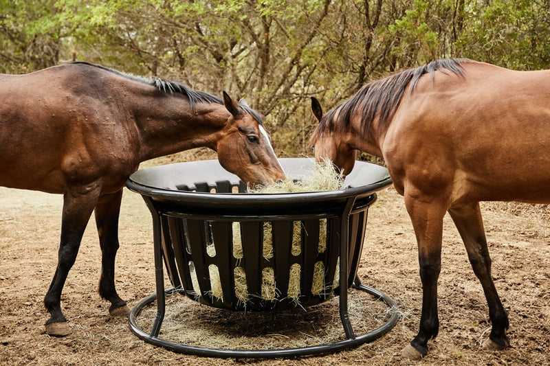 Tarter Farm  Ranch Hay Basket