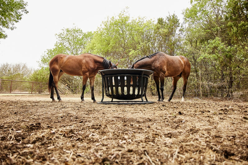 Tarter Farm  Ranch Hay Basket