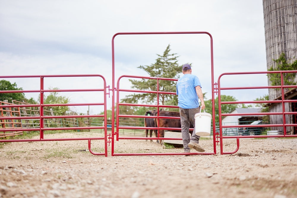 Tarter 6ft American Walk Thru Gate