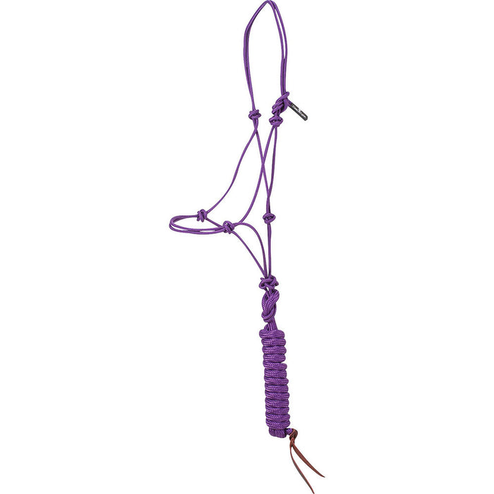 Classic Equine Purple Halter with 9` Lead