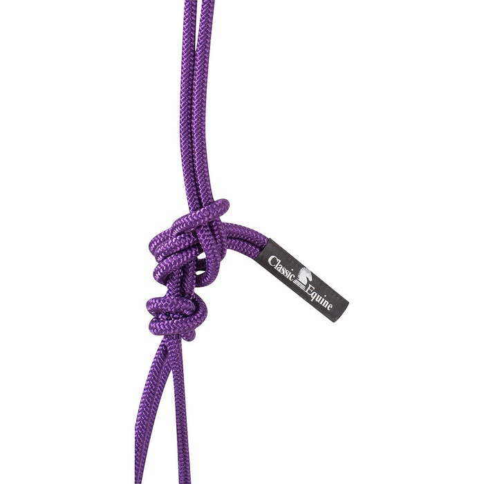 Classic Equine Purple Halter with 9` Lead