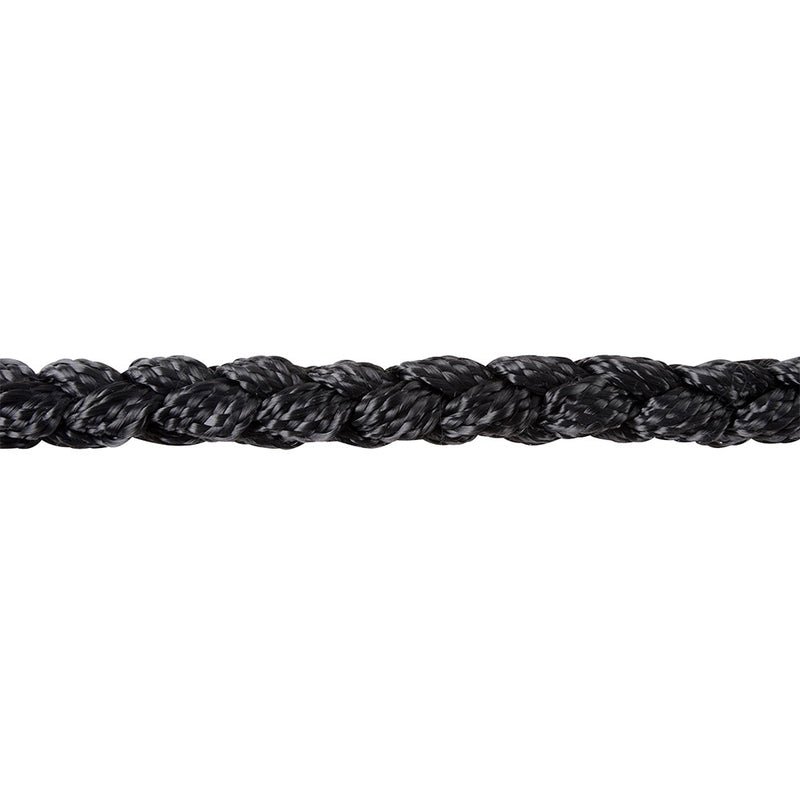 Classic Braided Halter with 8' Lead Rope
